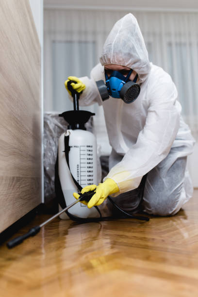 Best Fumigation Services  in Hudsonville, MI